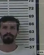 Booking photo of Glenn Allen Hopkins, Carter County, Jun 29, 2013