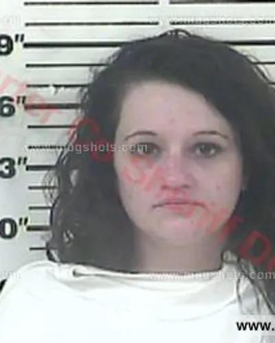 Most recent booking photo for Heather Lorraine Taylor