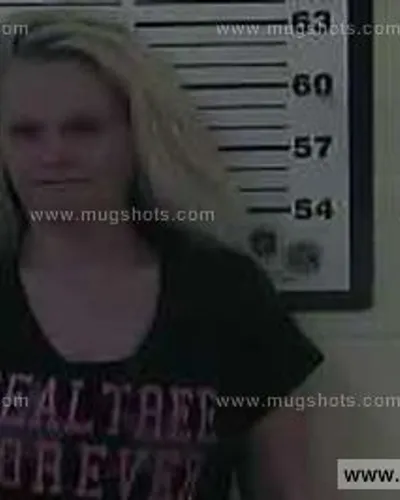 Booking photo of Bobbie Jean Bailey, Carter County, Nov 21, 2014