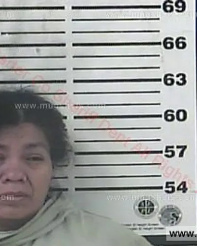 Booking photo of Veronica Paredes-Pacheco, Carter County, Nov 29, 2018