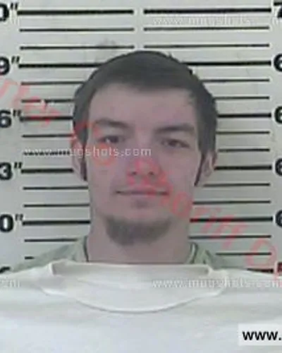 Booking photo of STEVE DILLEN LANGLEY, Carter County, Feb 1, 2018