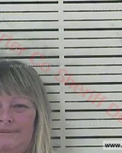 Booking photo of Paula Rovelo, Carter County, Mar 21, 2017