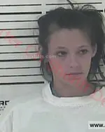 Booking photo of Elizabeth Nicole Riddle, Carter County, Jun 5, 2016