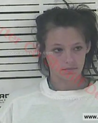 Booking photo of Elizabeth Nicole Riddle, Carter County, Jun 5, 2016