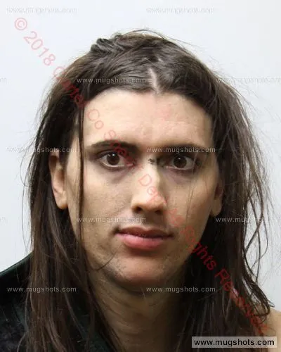 Booking photo of Arwen Permenter, Carter County, Nov 29, 2018