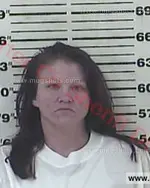 Booking photo of Crystal Starr Baines, Carter County, Oct 27, 2015