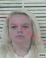 Booking photo of Amber Nicole Hamm, Carter County, Jan 19, 2017