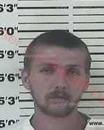 Booking photo of Austin Tyler Malone, Carter County, Oct 3, 2016