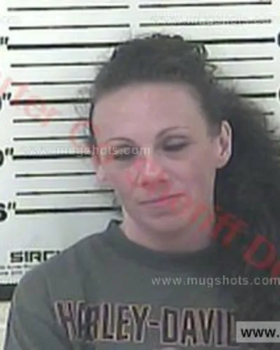 Booking photo of Melinda Lee Beam, Carter County, May 21, 2016