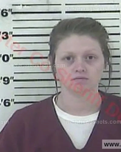 Booking photo of Alexis Brooke Townsend, Carter County, Feb 1, 2018