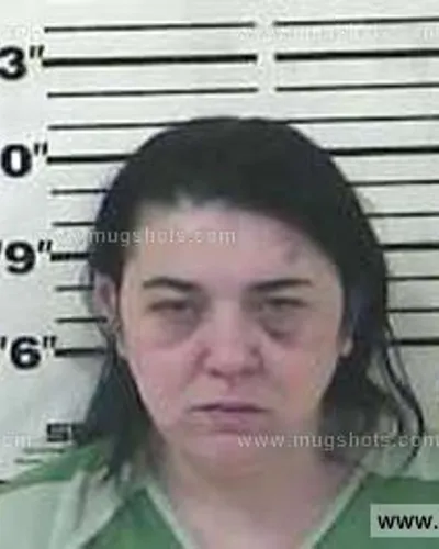 Booking photo of Melissa Rena Helton, Carter County, Mar 20, 2015