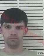 Booking photo of Zachary David Hileman, Carter County, Jun 10, 2017