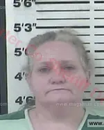 Booking photo of Melissa Ann Baumgardner, Carter County, Feb 3, 2018