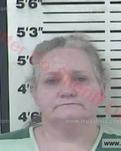 Booking photo of Melissa Ann Baumgardner, Carter County, Feb 3, 2018