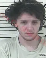 Booking photo of Taylor Gage- Henry Metcalf, Carter County, Jul 11, 2017