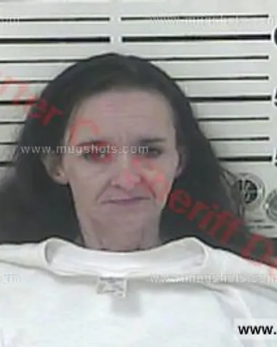 Booking photo of April Renee Brummitt-Munday, Carter County, Dec 13, 2017