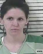 Booking photo of Sarah Ann Reece, Carter County, May 29, 2015