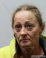 Booking photo of WENDY LYNNE HEATON-HOLDEN Heaton, Carter County, Jan 29, 2019