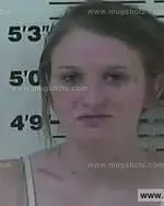 Booking photo of April Bernice Chambers, Carter County, Dec 14, 2013