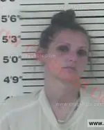 Booking photo of Melissa Louise Ollis, Carter County, Jul 22, 2016