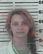 Booking photo of Ashley Leeann Miller, Carter County, Nov 29, 2017