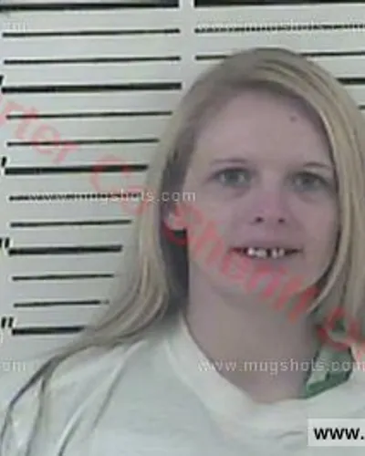 Booking photo of Ashley D Johnson, Carter County, Jun 27, 2016