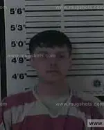 Booking photo of Austin Cane Lowe, Carter County, Feb 8, 2015