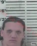 Booking photo of Amanda Lee Holmes, Carter County, Feb 6, 2018