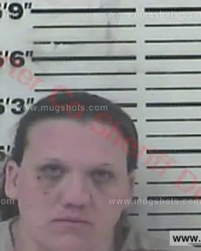 Booking photo of Amanda Lee Holmes, Carter County, Feb 6, 2018