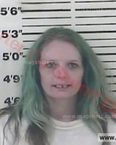 Booking photo of Ashley D Johnson, Carter County, Jul 2, 2016