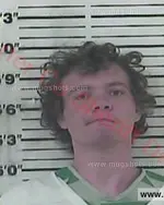 Booking photo of William Jackson Bryer, Carter County, Jun 15, 2018