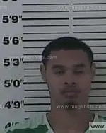 Booking photo of George Joshua Harrison, Carter County, Nov 26, 2013