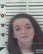 Booking photo of Lindsey Michelle Wells, Carter County, Nov 13, 2016