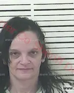 Booking photo of Lisa Kay Combs, Carter County, Jun 8, 2016