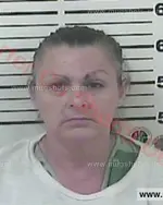 Booking photo of Rhonda Sue Belcher, Carter County, Jun 25, 2016