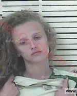 Booking photo of TAYLOR L HUNT, Carter County, Aug 25, 2017