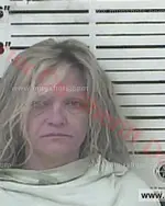 Booking photo of Sandy Marie Mitchell, Carter County, Aug 26, 2017