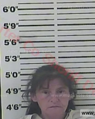 Booking photo of Trina Hildebrand, Carter County, Apr 3, 2016