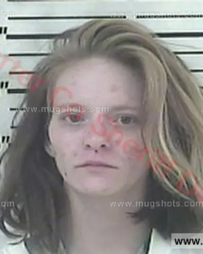 Booking photo of Sheena Robinson, Carter County, Apr 14, 2018