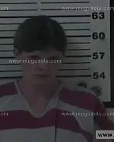 Booking photo of Rachel Simpson, Carter County, Aug 1, 2014