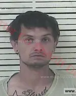 Booking photo of Logan Todd Loveless, Carter County, Jun 7, 2017