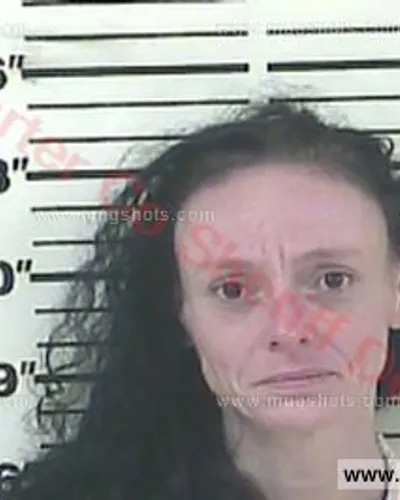 Booking photo of Crystal Gale Birchfield, Carter County, May 13, 2016