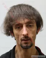 Booking photo of Justin Michael Trivette, Carter County, Jan 20, 2019