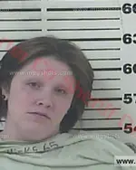 Booking photo of Ashley Nicole Hartley, Carter County, Jun 14, 2017