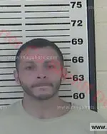 Booking photo of HENRY D JR BLEVINS Jr., Carter County, Aug 25, 2016