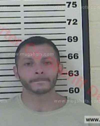 Booking photo of HENRY D JR BLEVINS Jr., Carter County, Aug 25, 2016