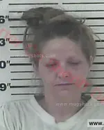 Booking photo of Takeitha Amber Morley, Carter County, May 13, 2017