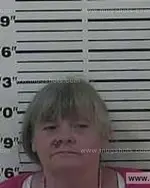 Booking photo of Phyllis Ann Hamm, Carter County, Jul 23, 2013