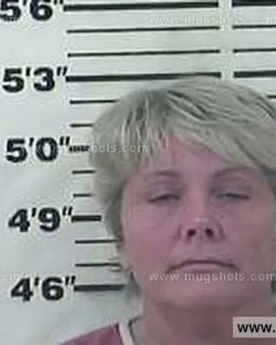 Booking photo of Sarah Cook, Carter County, May 2, 2015