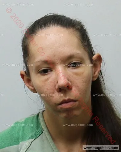 Booking photo of Brandy Nave, Carter County, Jan 6, 2020
